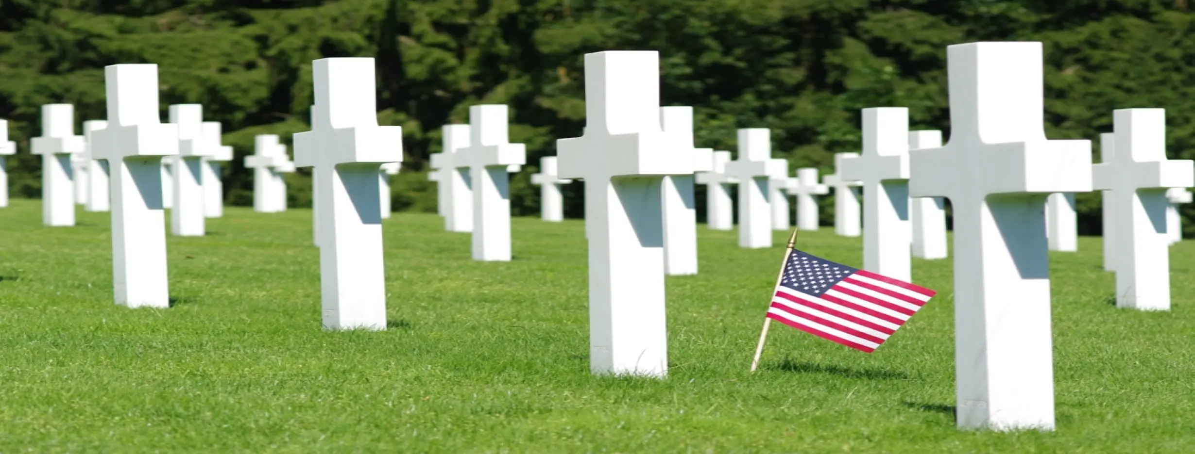 Image for Luxembourg American Cemetery